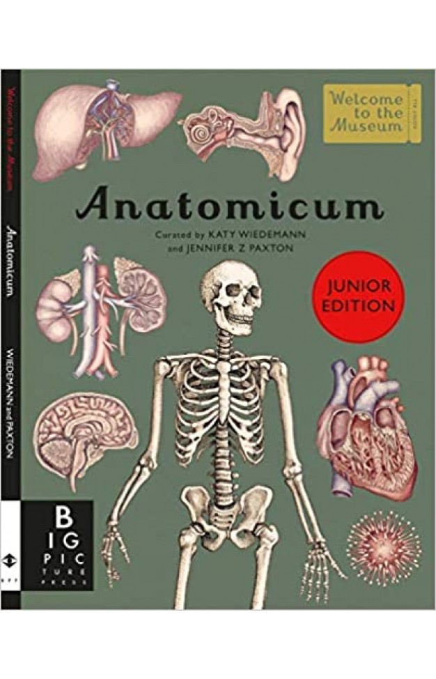 Anatomicum